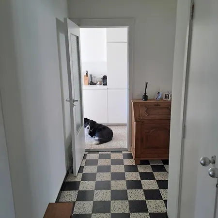 Mooi In Oud Berchem Apartment
